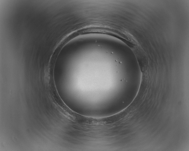 X0000073950484200608281219