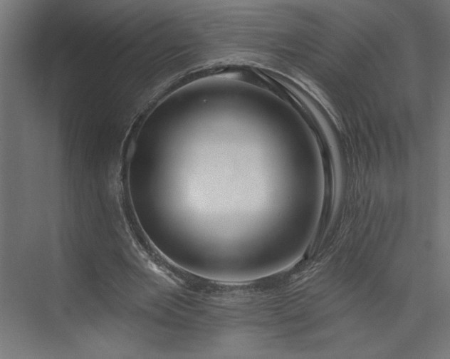 X0000073950485200608281219