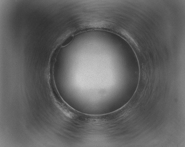 X0000073950486200608281219