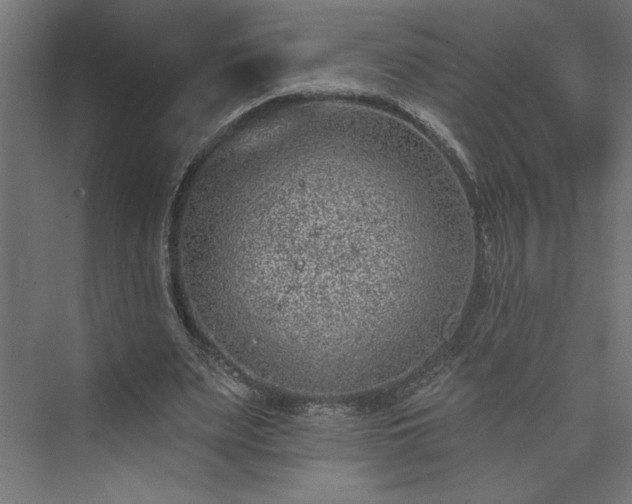 X0000073950487200608281219