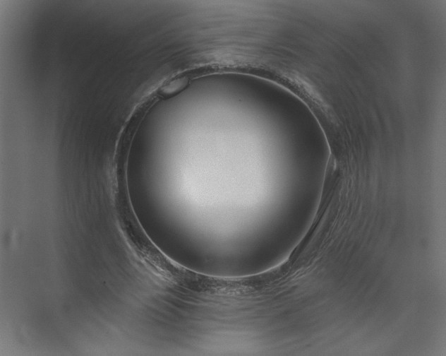 X0000073950488200608281219