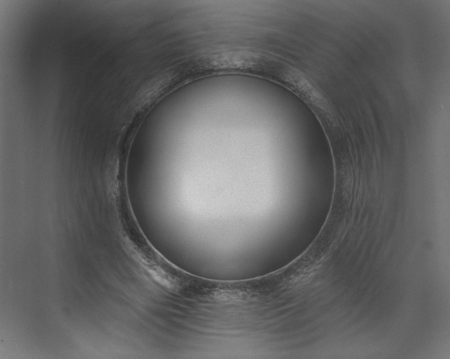 X0000073950490200608281219