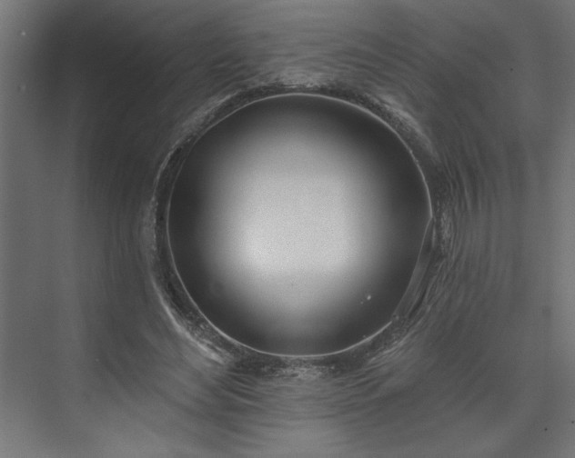 X0000073950492200608281219