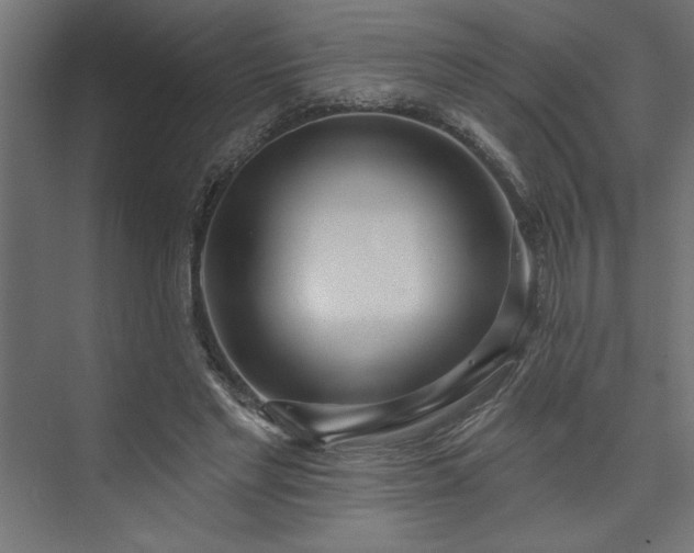 X0000073950493200608281219