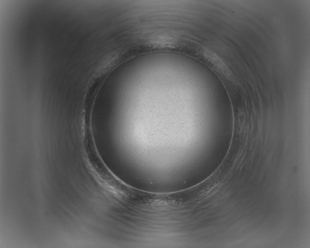 X0000073950494200608281219