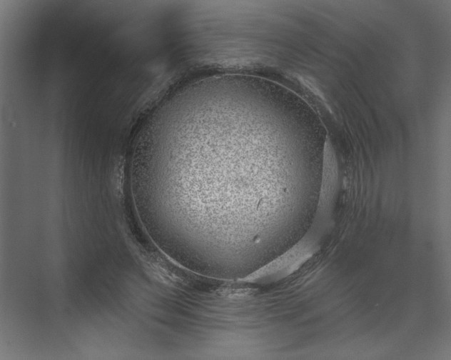 X0000073950495200608281219