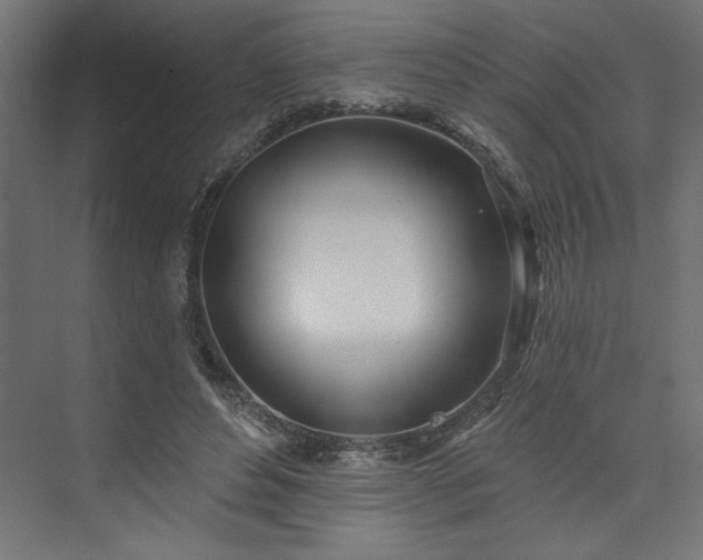 X0000073950496200608281219