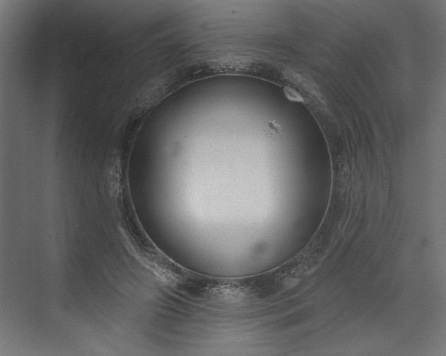 X0000073950498200608281219