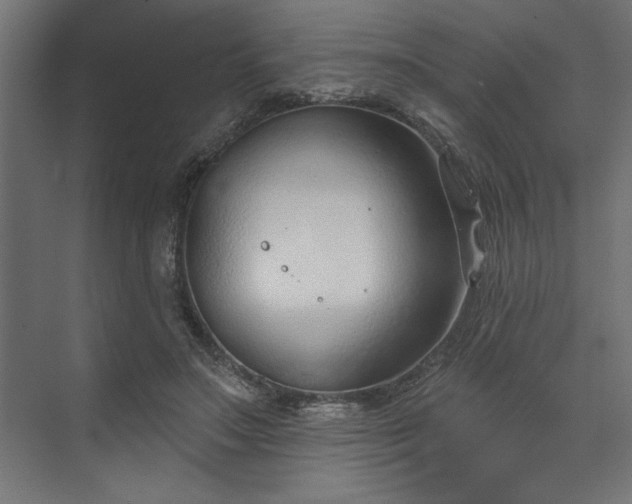 X0000073950499200608281219