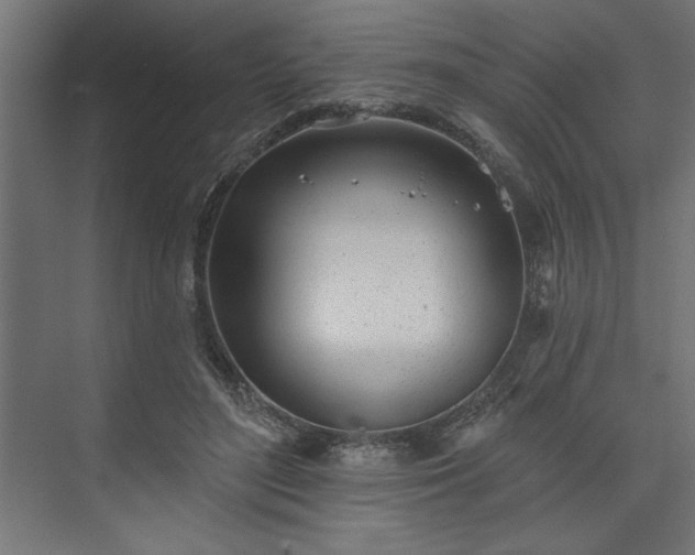 X0000073950500200608281219