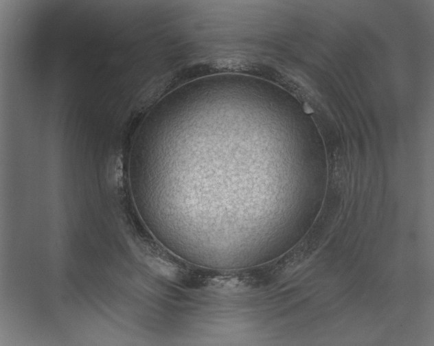 X0000073950502200608281219