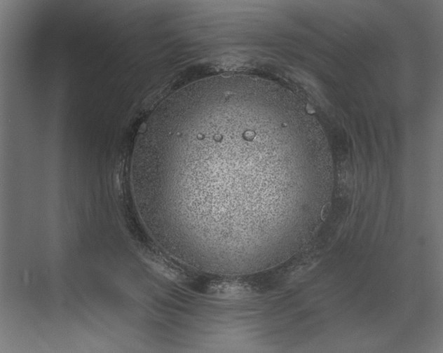 X0000073950503200608281219