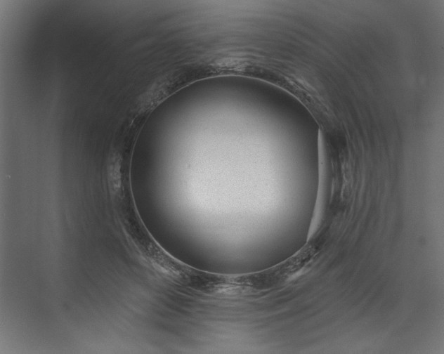 X0000073950504200608281219