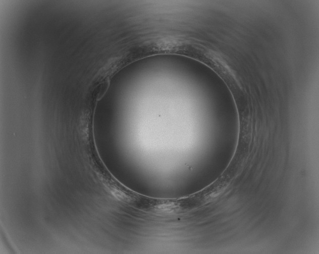 X0000073950505200608281219