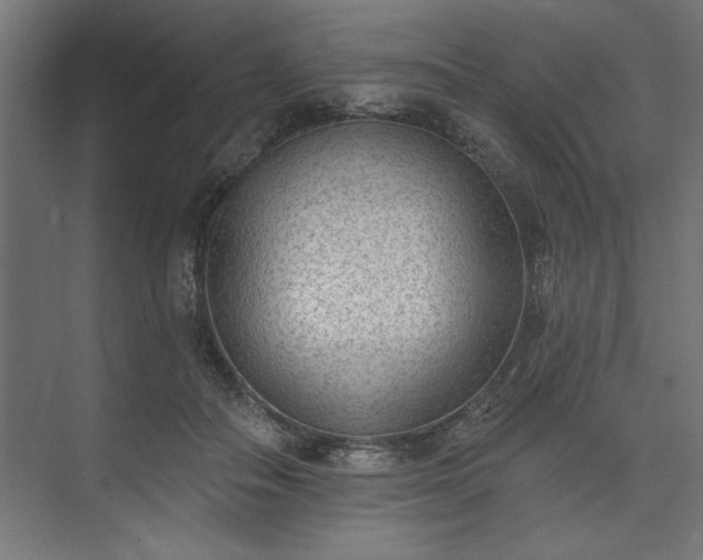 X0000073950506200608281219