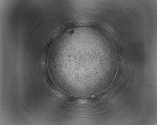 X0000073950507200608281219