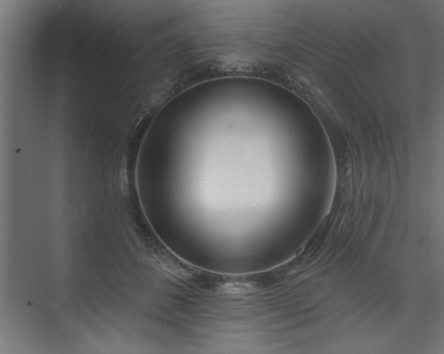 X0000073950508200608281219