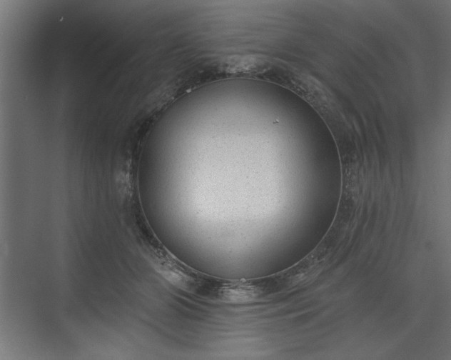 X0000073950510200608281218