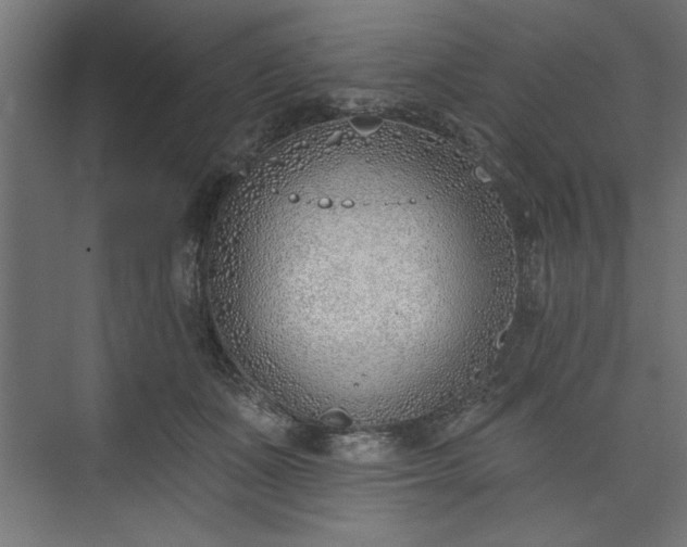 X0000073950511200608281218