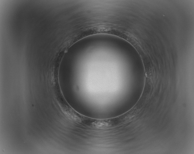 X0000073950512200608281218