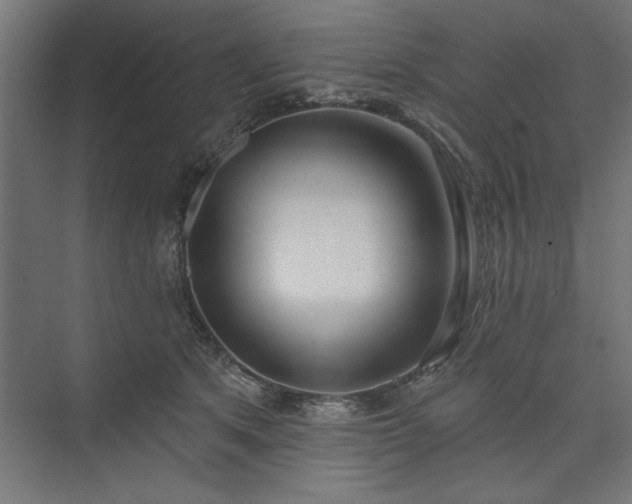 X0000073950513200608281218