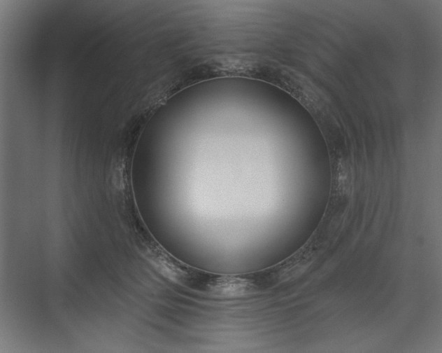 X0000073950514200608281218