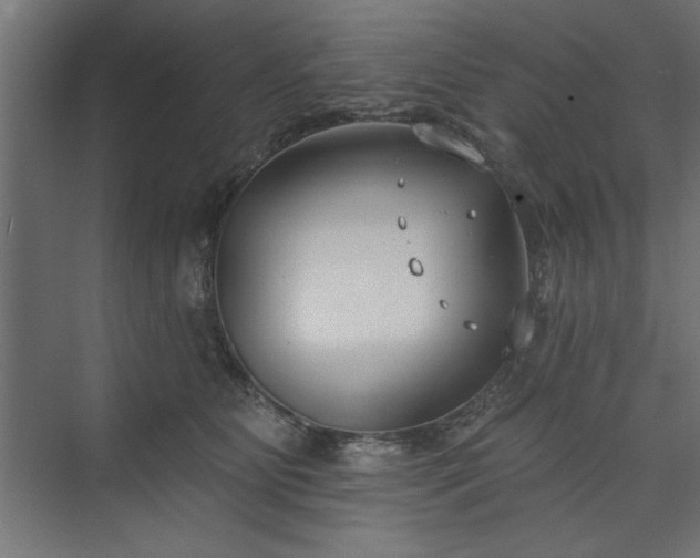 X0000073950515200608281218