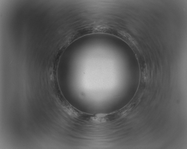 X0000073950520200608281218