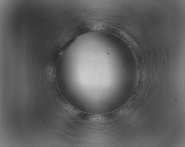 X0000073950521200608281218