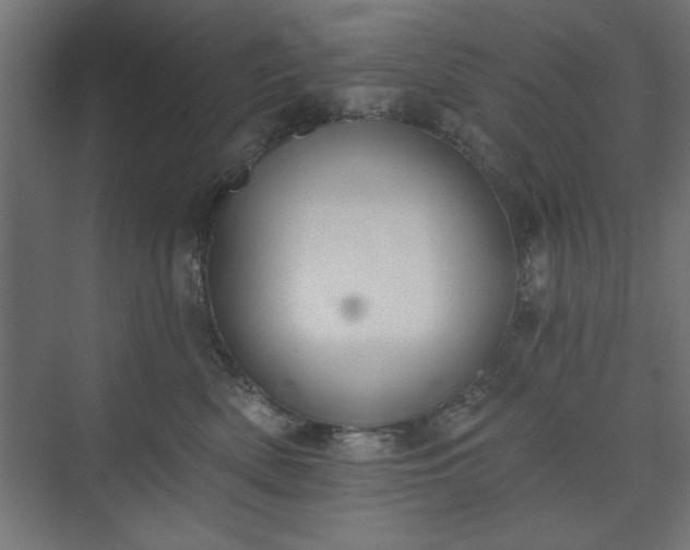 X0000073950522200608281218