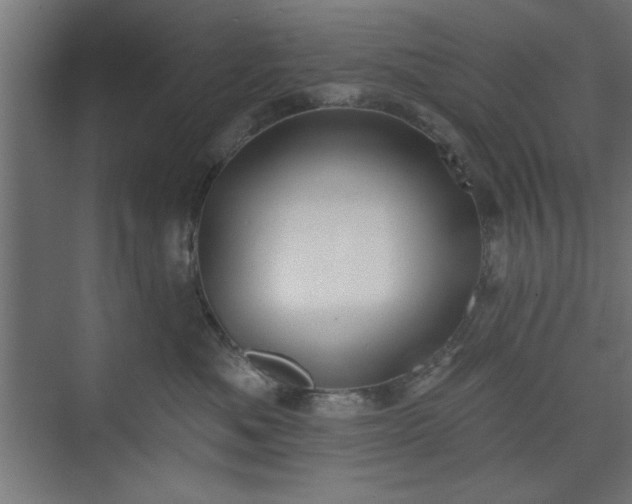 X0000073950525200608281218