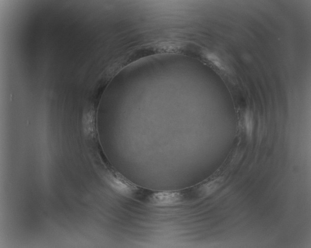 X0000073950526200608281218