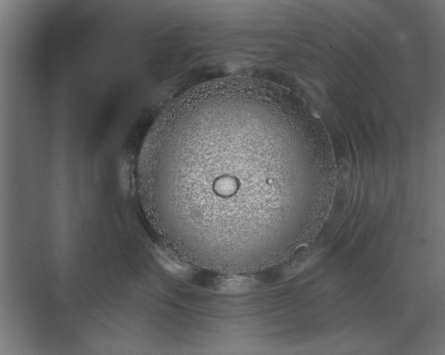 X0000073950527200608281218