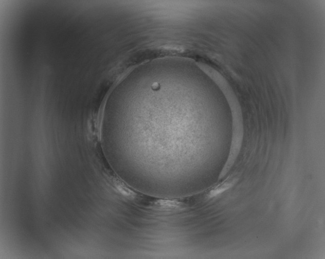 X0000073950528200608281218