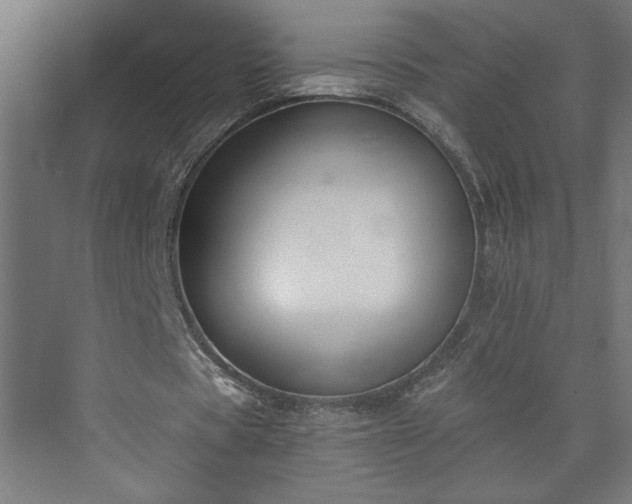 X0000073950529200608281217