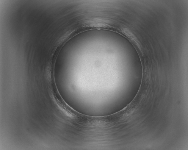 X0000073950533200608281217