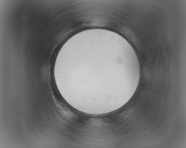 X0000073950534200608281217