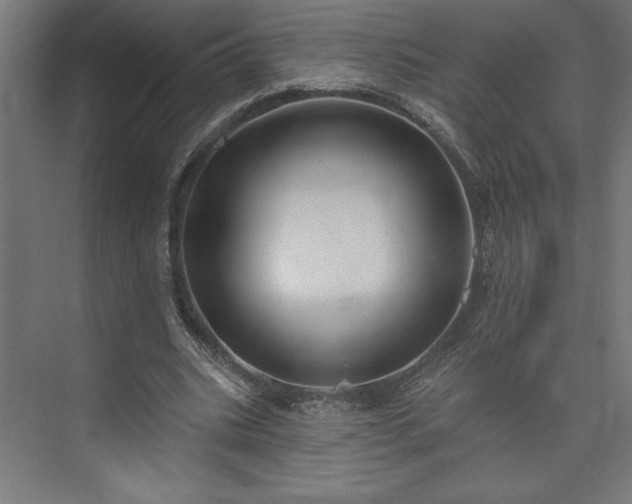 X0000073950535200608281217