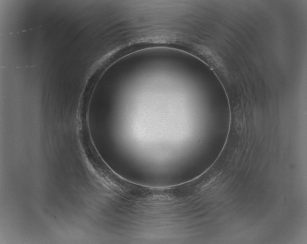 X0000073950536200608281217