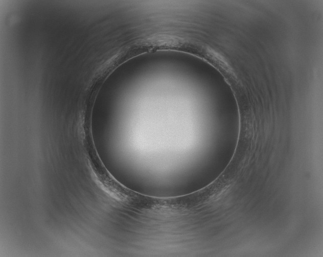 X0000073950538200608281217