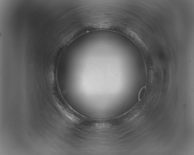 X0000073950541200608281218