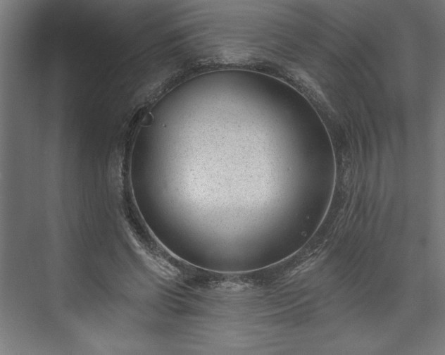 X0000073950542200608281218