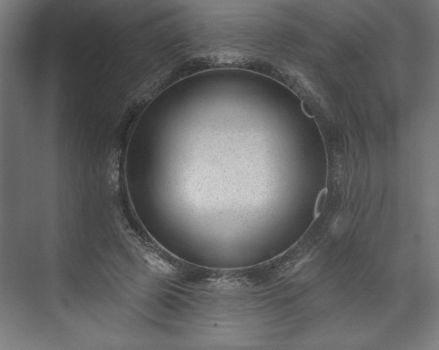 X0000073950545200608281218