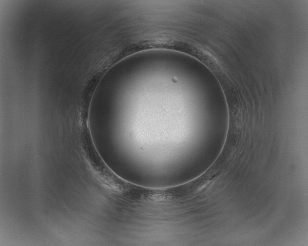 X0000073950546200608281218