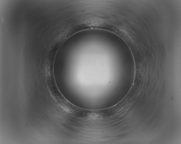 X0000073950547200608281218