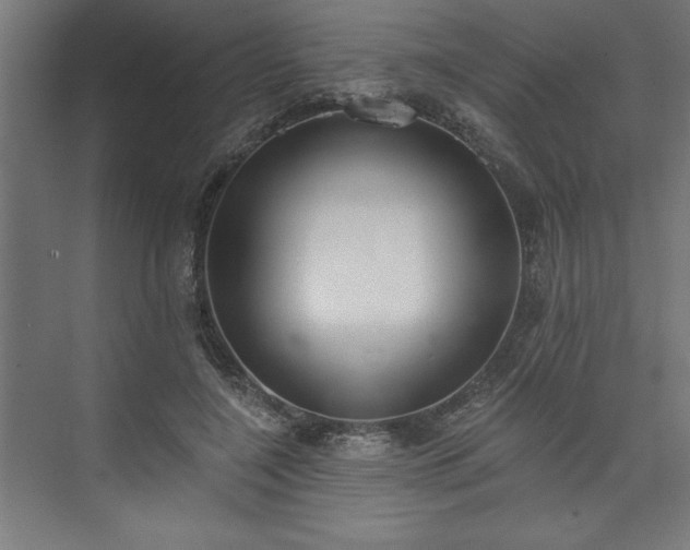 X0000073950548200608281218