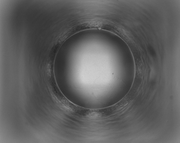 X0000073950551200608281218