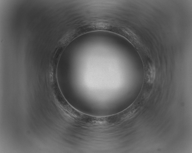 X0000073950552200608281218