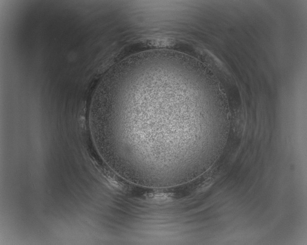 X0000073950553200608281218