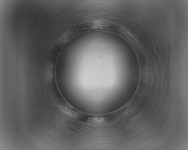 X0000073950554200608281218